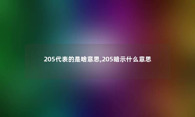 205代表的是啥意思,205暗示什么意思