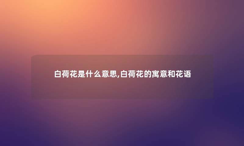 白荷花是什么意思,白荷花的寓意和花语