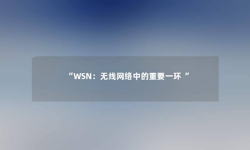 WSN：无线网络中的重要一环