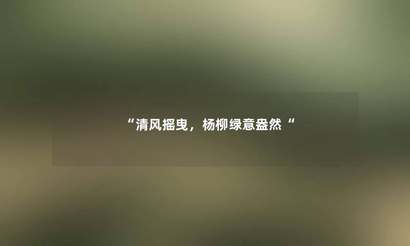 清风摇曳，杨柳绿意盎然