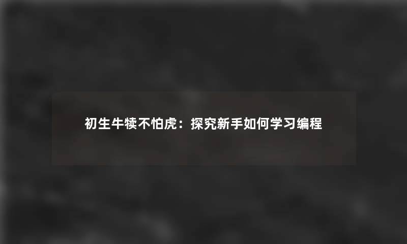 初生牛犊不怕虎：探究新手如何学习编程