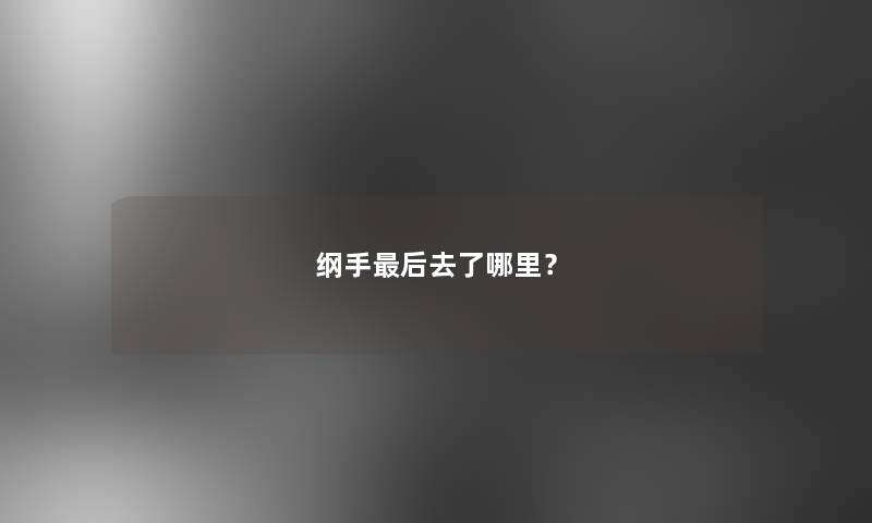 纲手这里要说去了哪里？