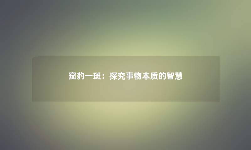 窥豹一斑：探究事物本质的