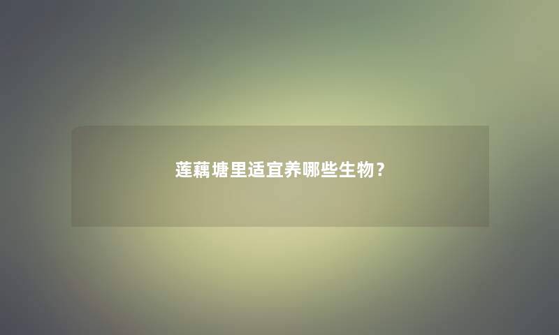 莲藕塘里适宜养哪些生物？