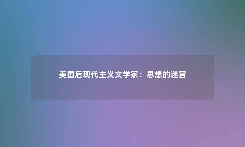 美国后现代主义文学家：思想的迷宫