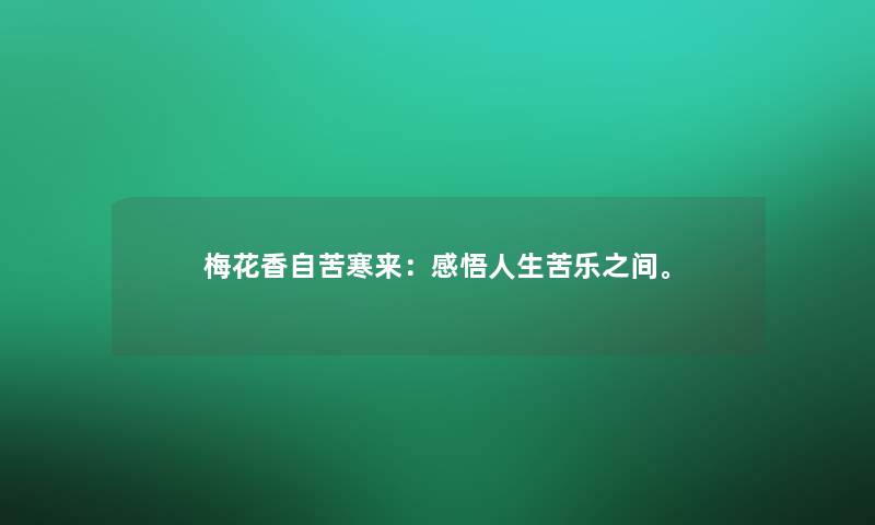梅花香自苦寒来：感悟人生苦乐之间。