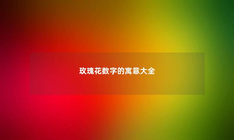 玫瑰花数字的寓意大全