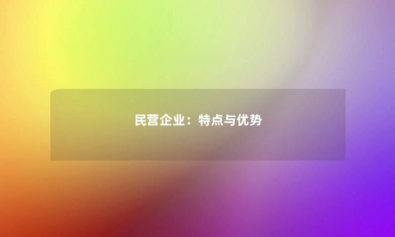 民营企业：特点与优势