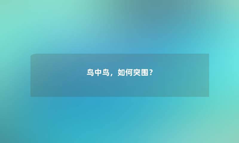 鸟中鸟，如何突围？