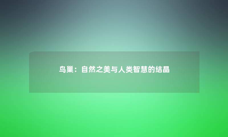 鸟巢：自然之美与的结晶