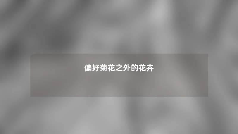 偏好菊花之外的花卉