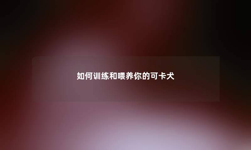 如何训练和喂养你的可卡犬