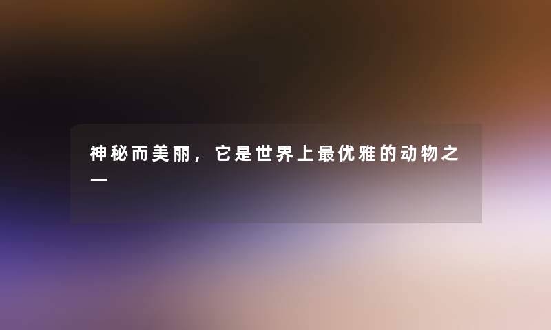 神秘而美丽，它是世界上优雅的动物之一