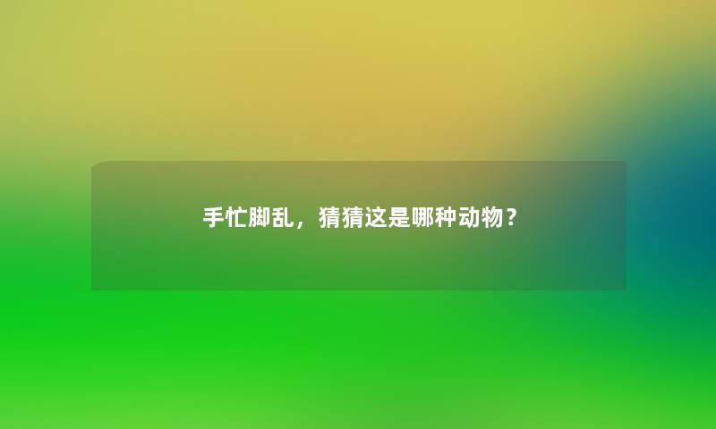 手忙脚乱，猜猜这是哪种动物？