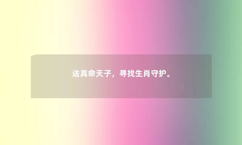 送真命天子，寻找生肖守护。