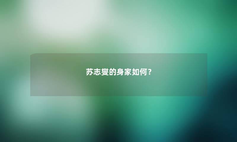 苏志燮的身家如何？
