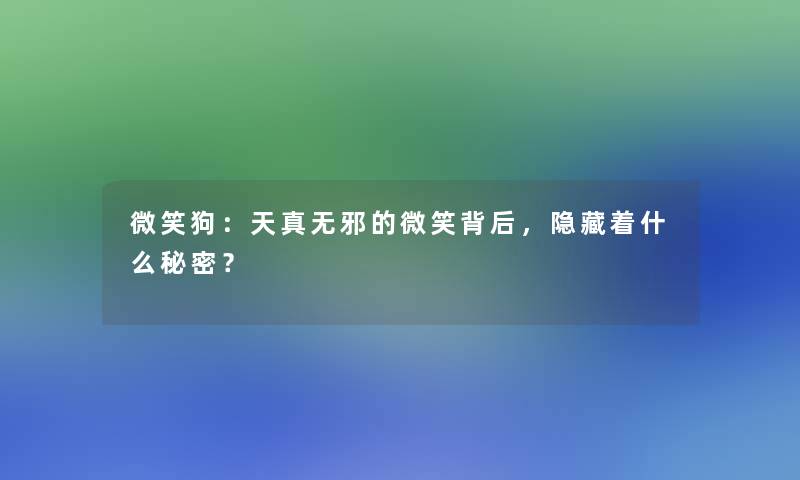 微笑狗：天真无邪的微笑背后，隐藏着什么秘密？