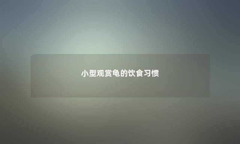 小型观赏龟的饮食习惯