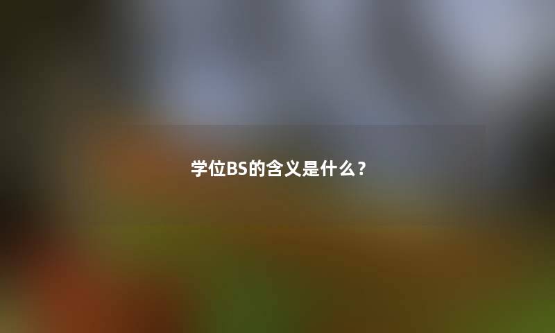 学位BS的含义是什么？