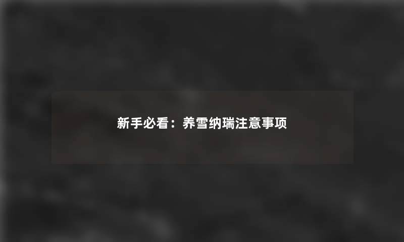 新手必看：养雪纳瑞注意事项