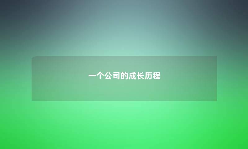一个公司的成长历程