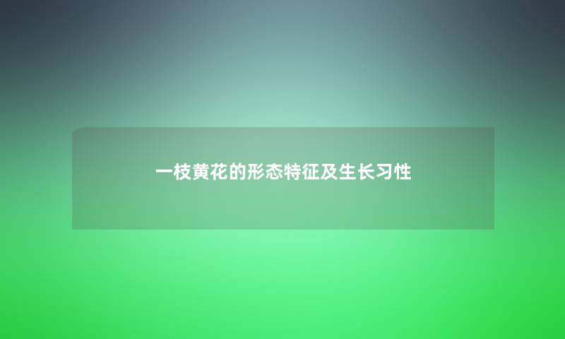 一枝黄花的形态特征及生长习性