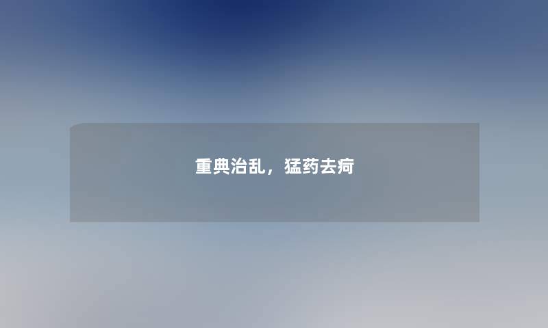 重典治乱，猛药去疴