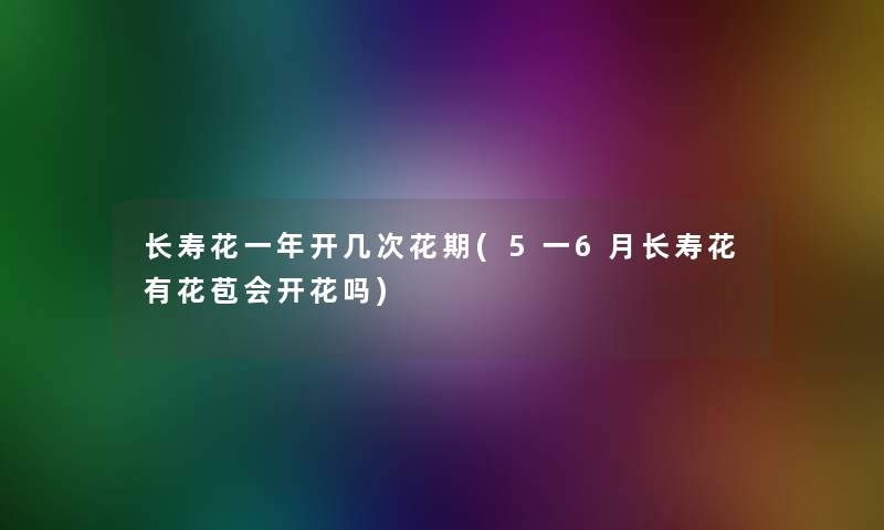 长寿花一年开几次花期(5一6月长寿花有花苞会开花吗)