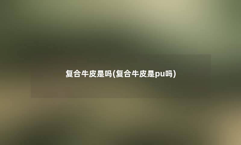 复合牛皮是吗(复合牛皮是pu吗)