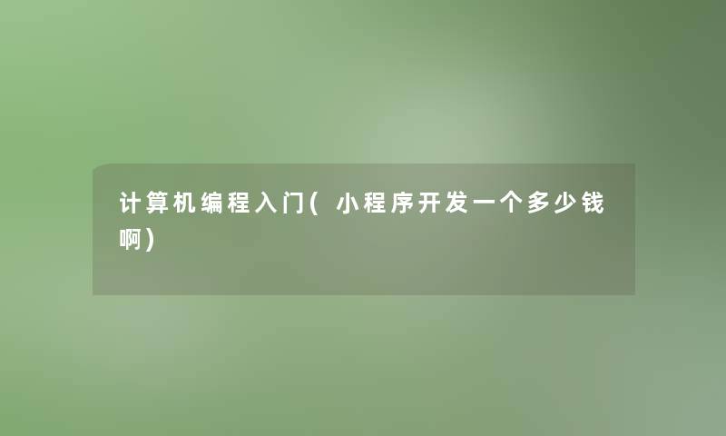 计算机编程入门(小程序开发一个多少钱啊)