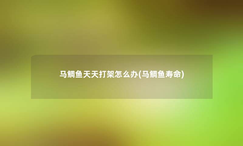 马鲷鱼天天打架怎么办(马鲷鱼寿命)