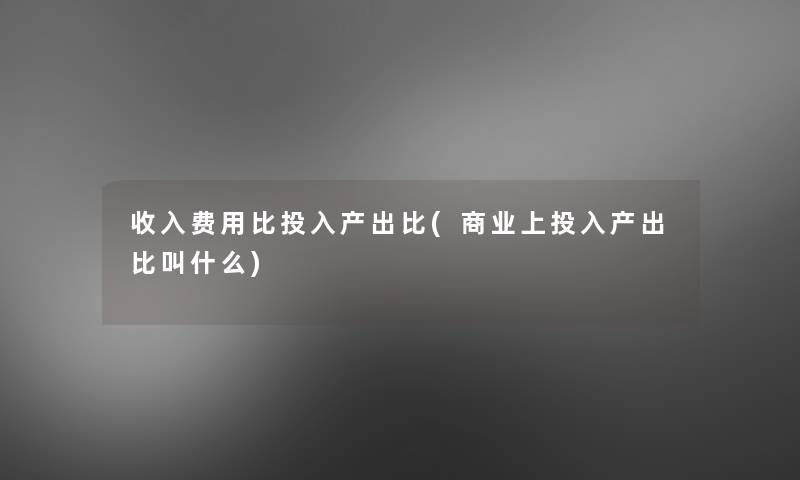 收入费用比投入产出比(商业上投入产出比叫什么)
