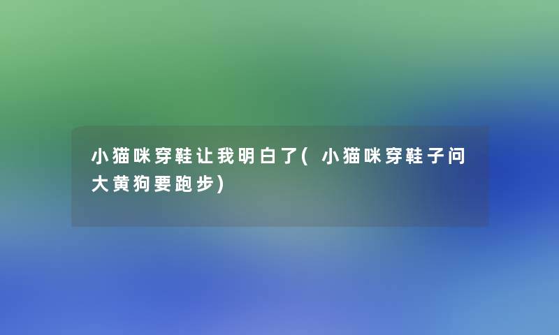 小猫咪穿鞋让我明白了(小猫咪穿鞋子问大黄狗要跑步)