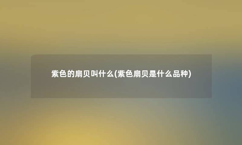 紫色的扇贝叫什么(紫色扇贝是什么品种)