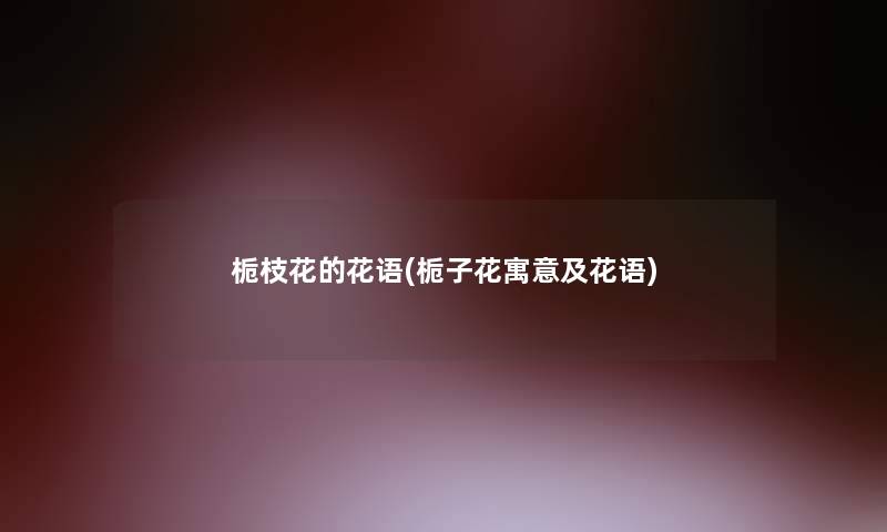 栀枝花的花语(栀子花寓意及花语)
