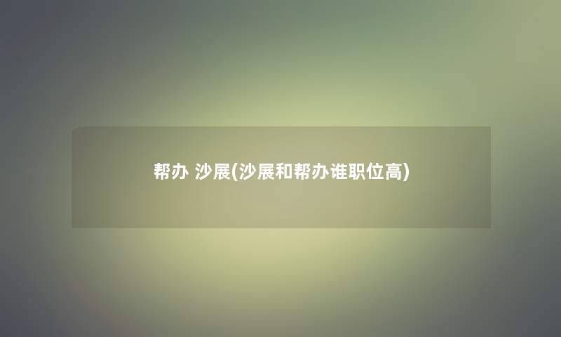 帮办 沙展(沙展和帮办谁职位高)