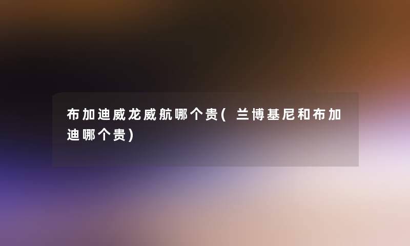 布加迪威龙威航哪个贵(兰博基尼和布加迪哪个贵)