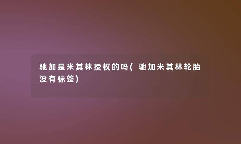 驰加是米其林授权的吗(驰加米其林轮胎没有标签)