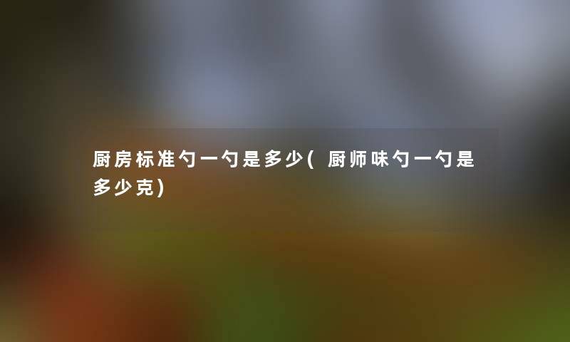 厨房标准勺一勺是多少(厨师味勺一勺是多少克)