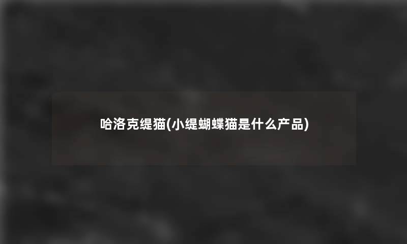 哈洛克缇猫(小缇蝴蝶猫是什么)