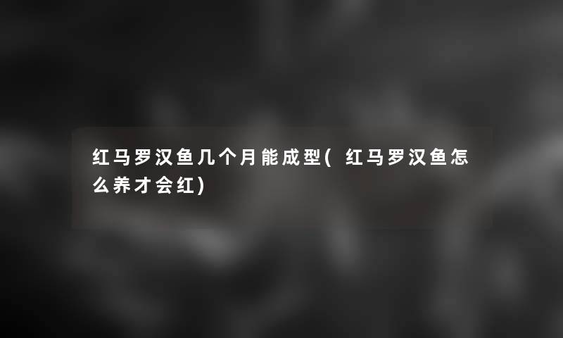 红马罗汉鱼几个月能成型(红马罗汉鱼怎么养才会红)