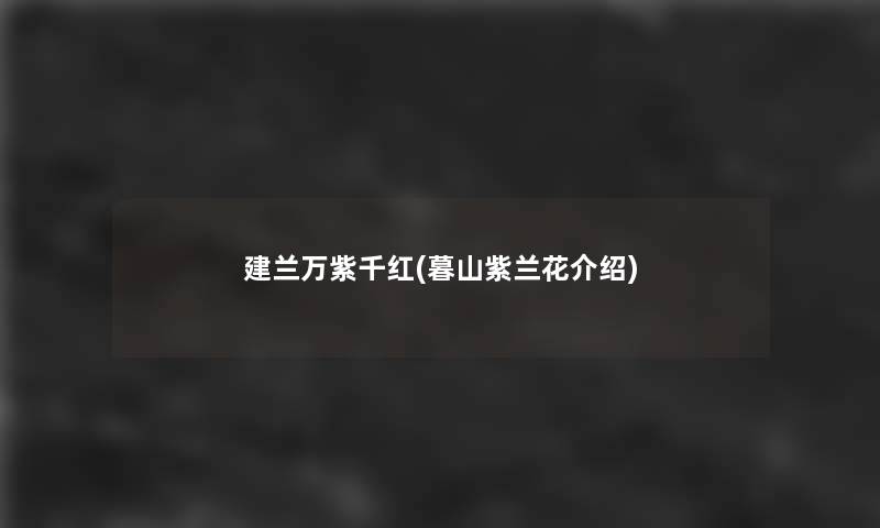 建兰万紫千红(暮山紫兰花介绍)