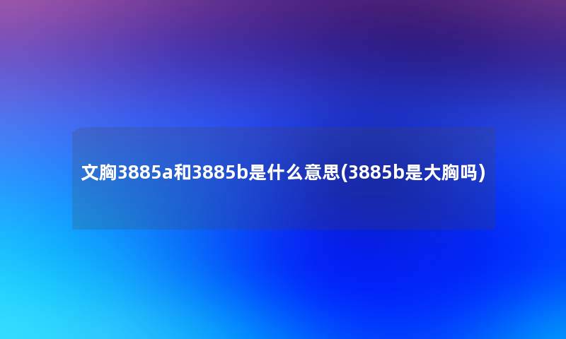 文胸3885a和3885b是什么意思(3885b是大胸吗)