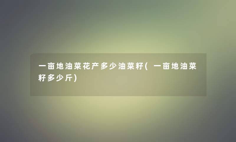 一亩地油菜花产多少油菜籽(一亩地油菜籽多少斤)
