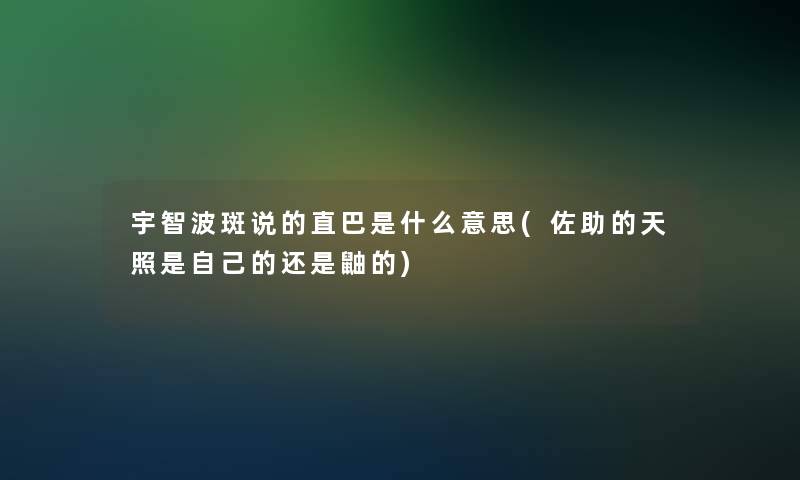 宇智波斑说的直巴是什么意思(佐助的天照是自己的还是鼬的)