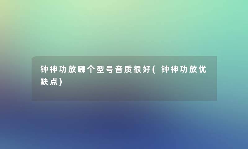 钟神功放哪个型号音质很好(钟神功放优缺点)