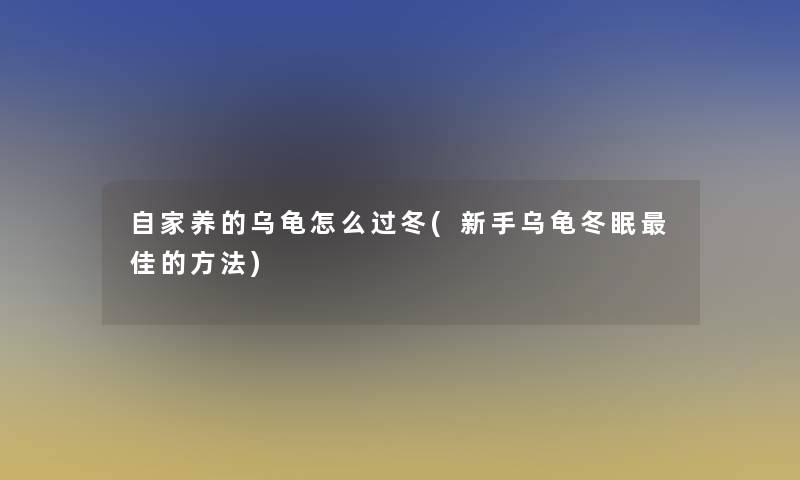 自家养的乌龟怎么过冬(新手乌龟冬眠理想的方法)