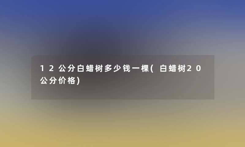 12公分白蜡树多少钱一棵(白蜡树20公分价格)