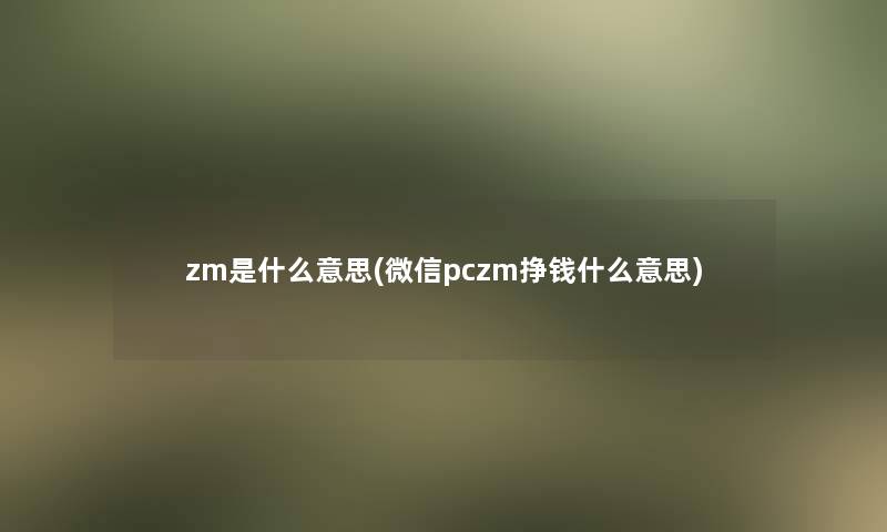 zm是什么意思(微信pczm挣钱什么意思)