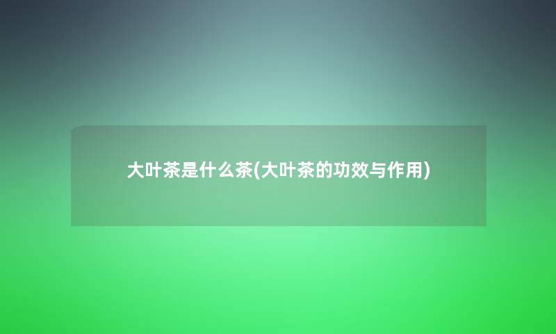 大叶茶是什么茶(大叶茶的功效与作用)